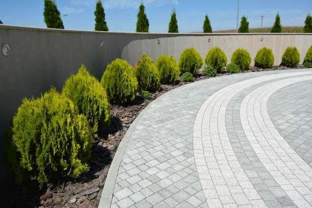 Best Driveway Paving Contractor  in Northwest Harwich, MA